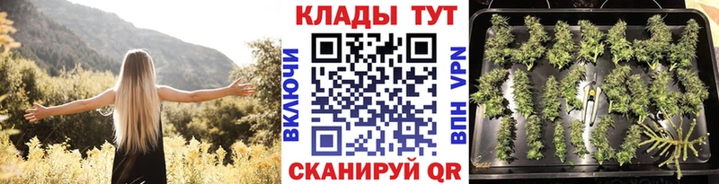Купить закладку COCAIN  МЕФ  Псилоцибиновые грибы  ГАШИШ  Alpha PVP  Можайск