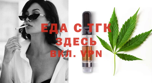 СК Ельня