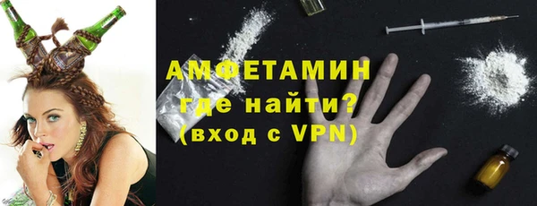 СК Ельня