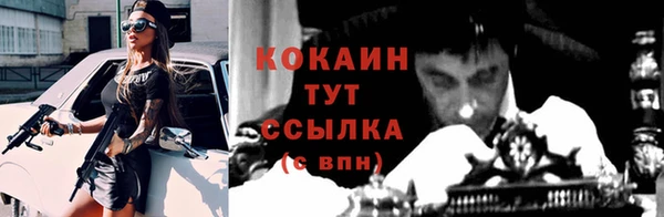 СК Ельня