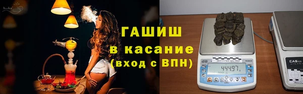 СК Ельня