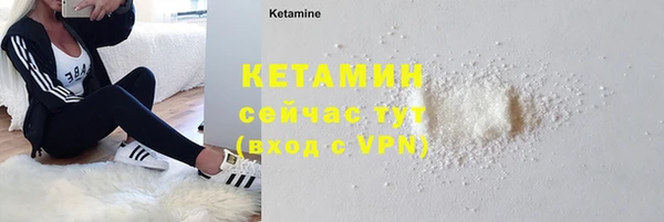 СК Ельня