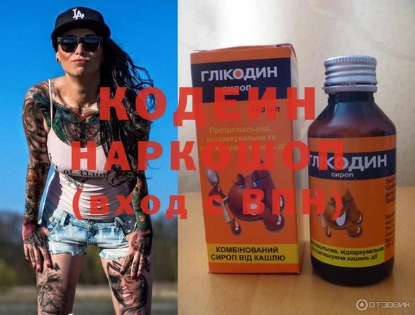 СК Ельня