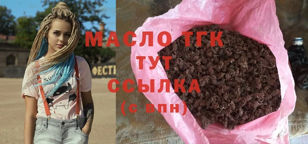 СК Ельня