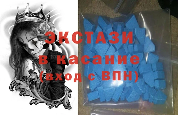 СК Ельня