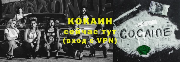 СК Ельня