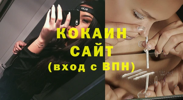 СК Ельня