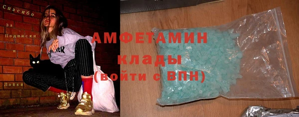 СК Ельня