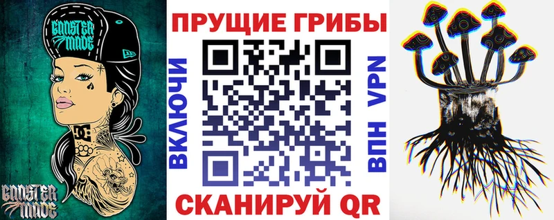 Купить где  Можайск  Псилоцибиновые грибы GOLDEN TEACHER 