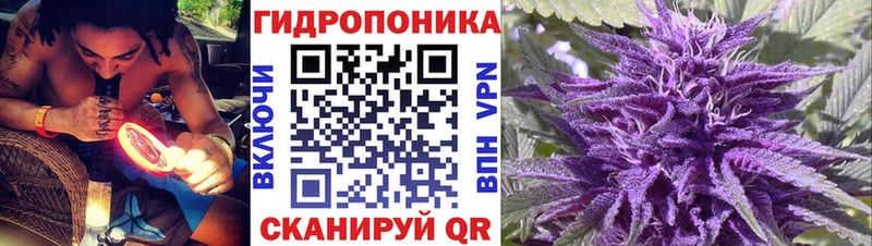 Канабис White Widow  Купить  Можайск 